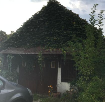 Travaux de démoussage à Marles-en-Brie 77